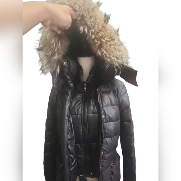 COLORI WINTER JACKET size SP - Picture 8 of 12